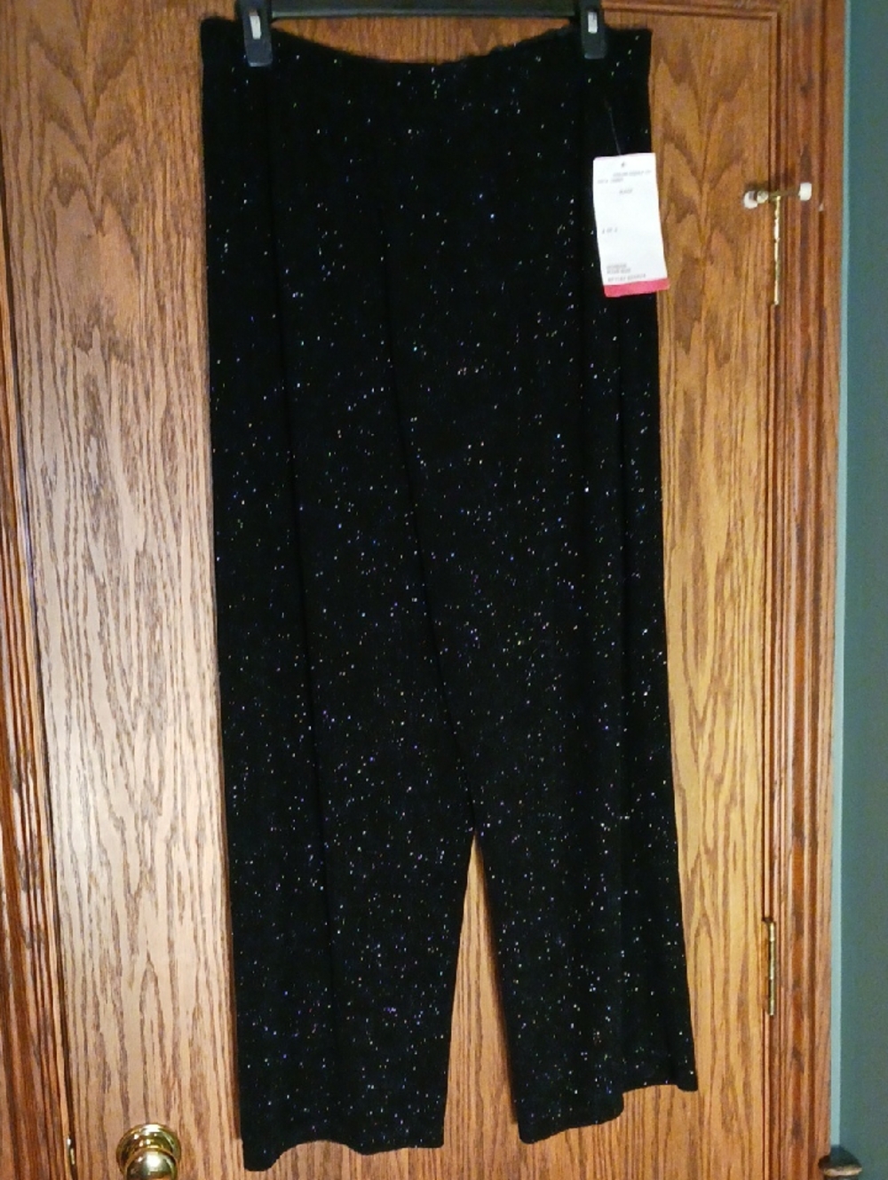 NWT Women's Onyx Nite Pull On Sparkling Pants